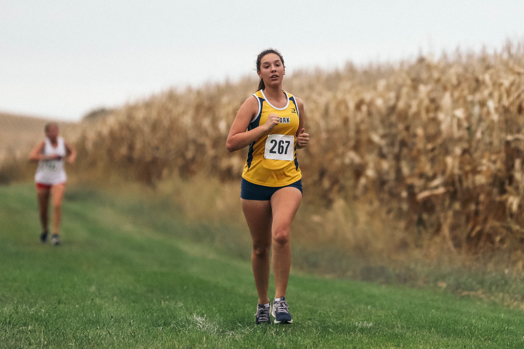 York Central Conference XC (14).jpg